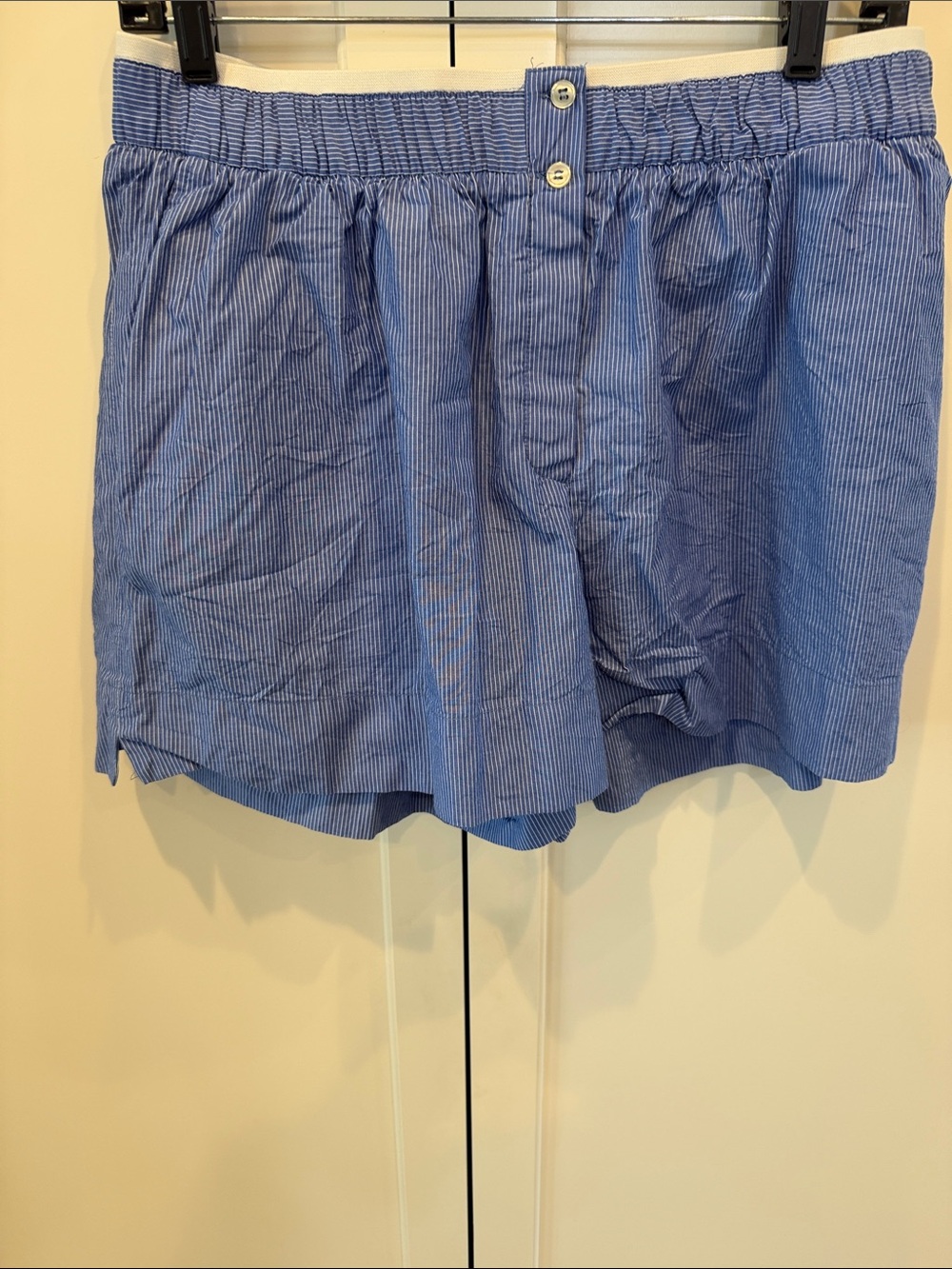 Zara Blue Pinstripe Elastic Waist Shorts